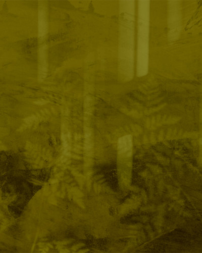Fototapet Dream Prints DPR-DP0124A. Conține culorile: