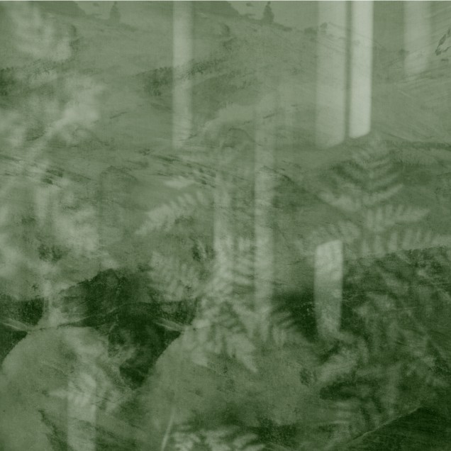 Fototapet Dream Prints DPR-DP0124B. Conține culorile: 