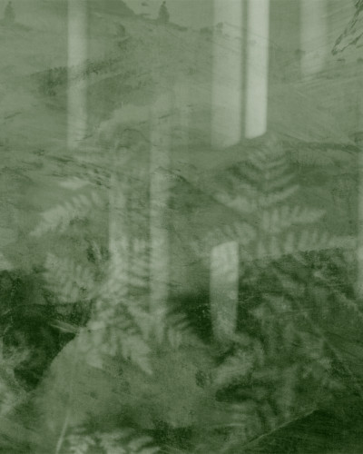 Fototapet Dream Prints DPR-DP0124B. Conține culorile: 