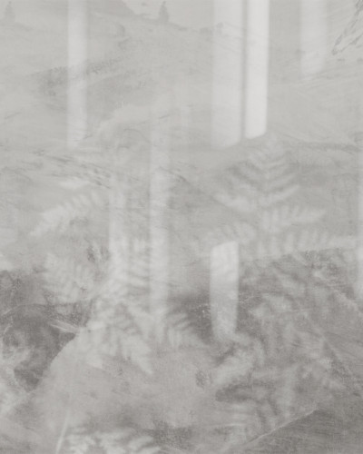 Fototapet Dream Prints DPR-DP0124C. Conține culorile: