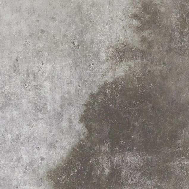 Tapet minimalist cu textură delicată, Forgotten Meadow, Fog, Dream Prints.