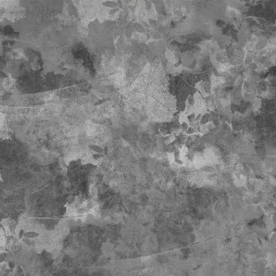 Tapet și Fototapet Dream Prints DPR-DP0305B. Conține culorile: Gri, Gri Trafic A, Gri, Gri Deschis Perlă, Gri, Gri Prăfuit