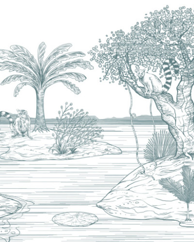 Tapet Madagascar cu design unic