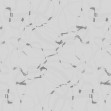 Speck Grey, Dream Prints