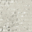 Umbra Ivory, Dream Prints