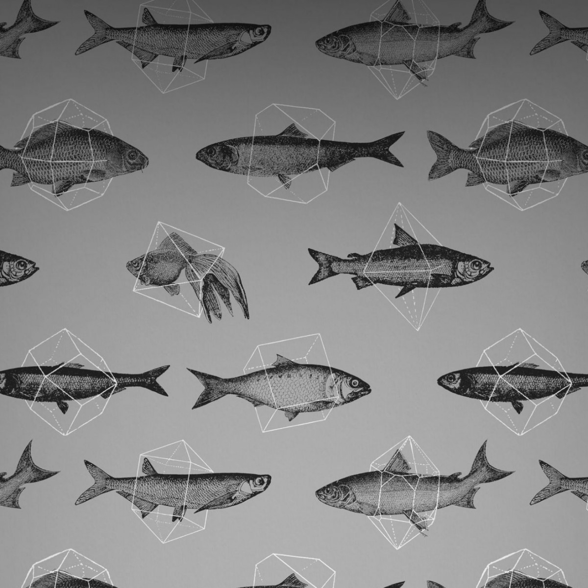 Tapet designer Fishes In Geometrics, Silver - Feathr,  