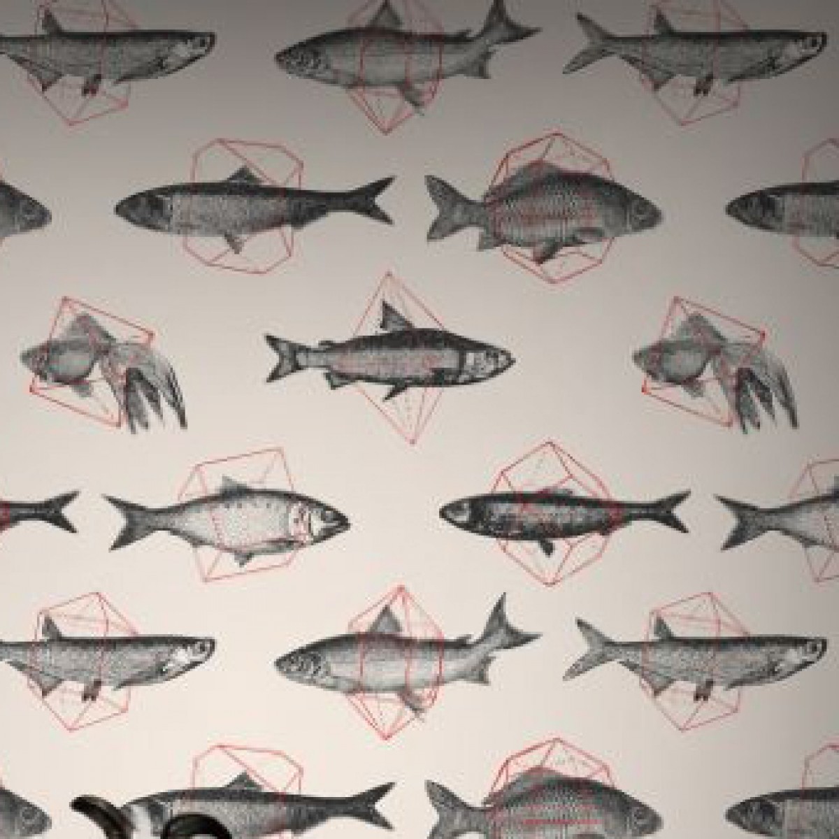 Tapet designer Fishes In Geometrics, Sand & Red - Feathr,  