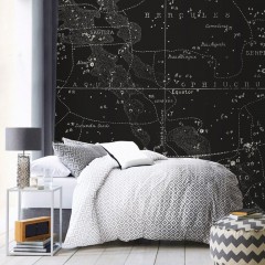 Fototapet Southern Signs of the Zodiac, Dark, personalizat, Feathr