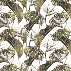 Tapet designer Bird of Paradise (Tropical Leaf), White - Feathr