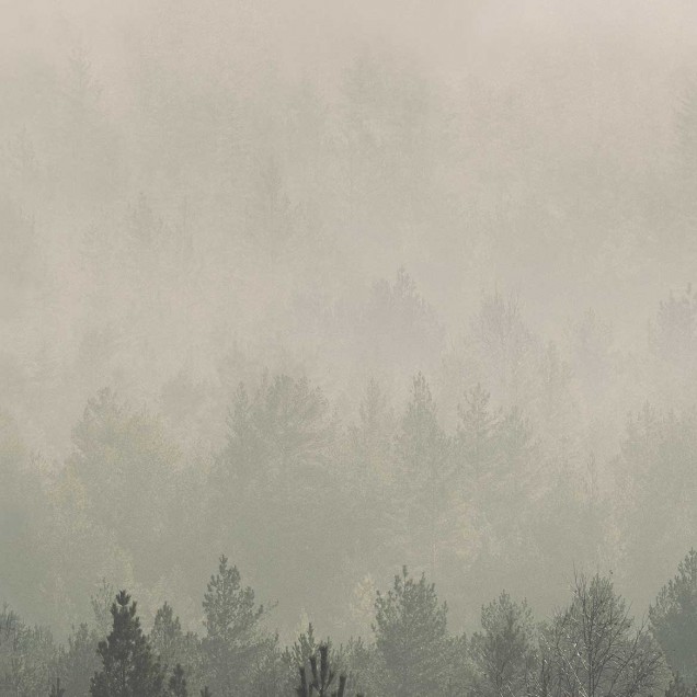 Tapet cu design abstract de pădure, perfect pentru a crea o atmosferă calmă și relaxantă