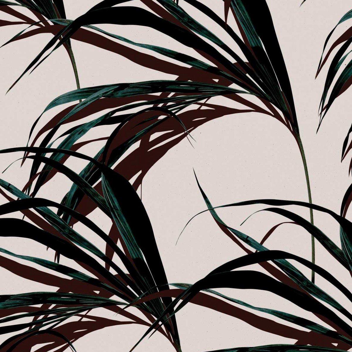 Tapet designer Winter Palm, Green - Feathr, Tapet Exclusivist 