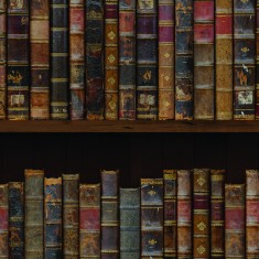 Tapet designer The Library (Vintage Book) - Feathr