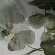 Quisisana, Variant 1, Glamora