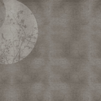 Zen, Variant 4, Glamora