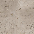 Herbaria, Variant 1, Glamora