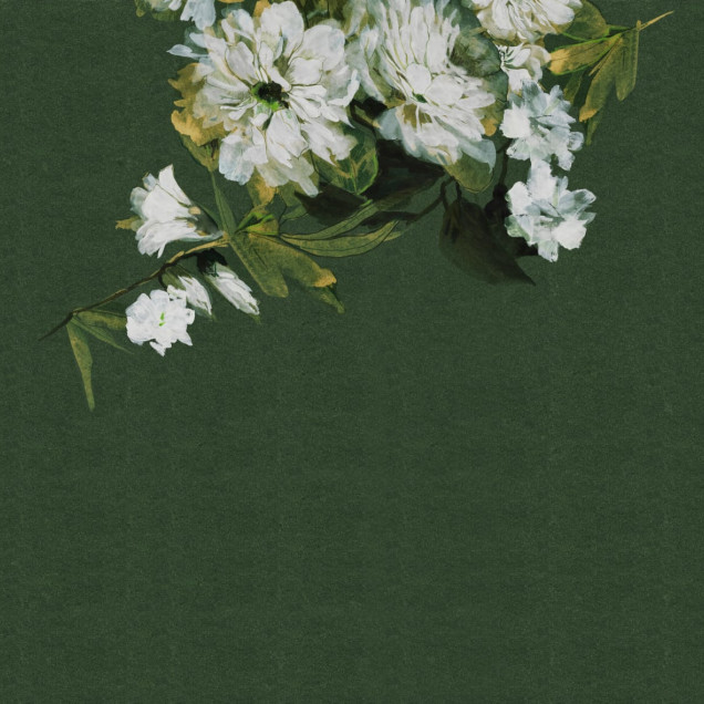 Fototapet floral cu flori albe pe fundal verde