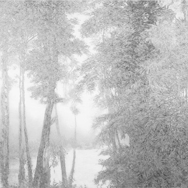 Fototapet decorativ cu design natural