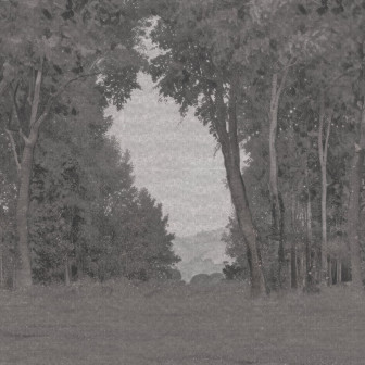 Fototapet cu peisaj natural și arbori