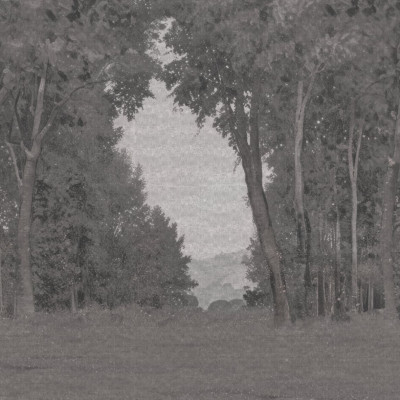 Fototapet cu peisaj natural și arbori