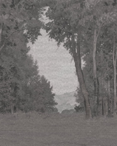 Fototapet cu peisaj natural și arbori