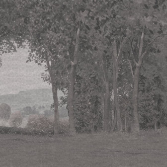 Fototapet cu peisaj natural și arbori