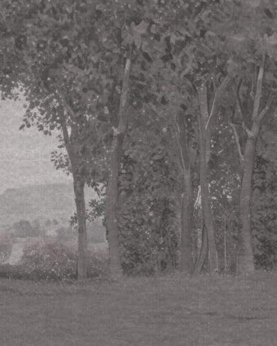 Fototapet cu peisaj natural și arbori