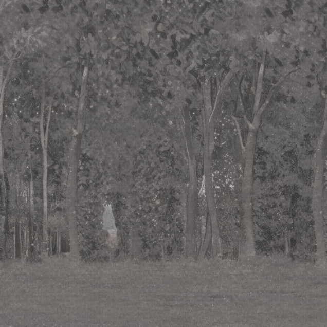 Fototapet cu peisaj natural și arbori