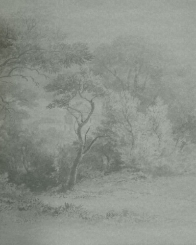 Fototapet cu motiv peisagistic, Sonata, Variant 1