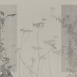 Arbor Vitae, Variant 2, Glamora