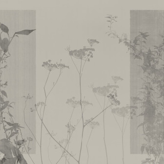 Arbor Vitae, Variant 2, Glamora