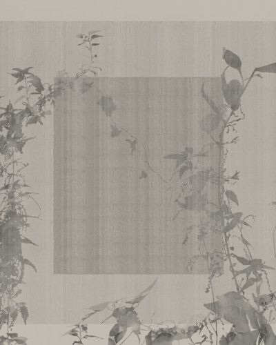 Fototapet decorativ cu motiv floral elegant