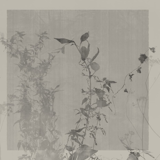 Fototapet decorativ cu motiv floral elegant