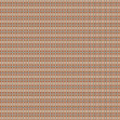 Voluta, Variant 1.a, Glamora