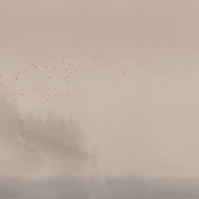 Fototapet cu peisaj de pădure în ceață și păsări aurii