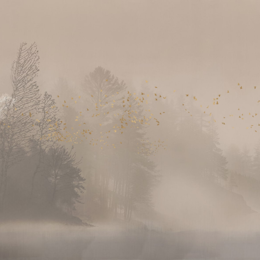 Fototapet cu peisaj de pădure în ceață și păsări aurii