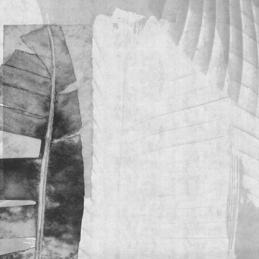 Fototapet cu design abstract, asemănător unei frunze de Areca, în nuanțe de gri și texturi delicate.