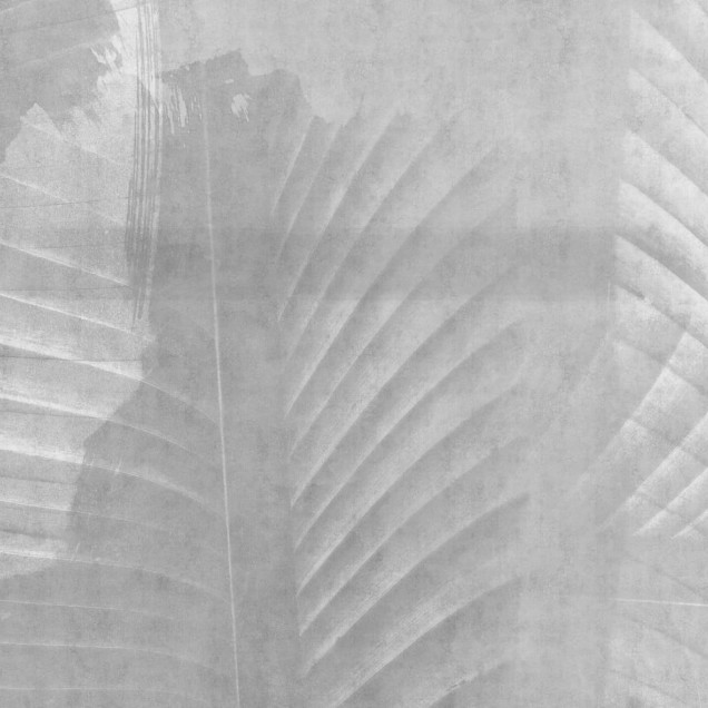 Fototapet cu design abstract, asemănător unei frunze de Areca, în nuanțe de gri și texturi delicate.