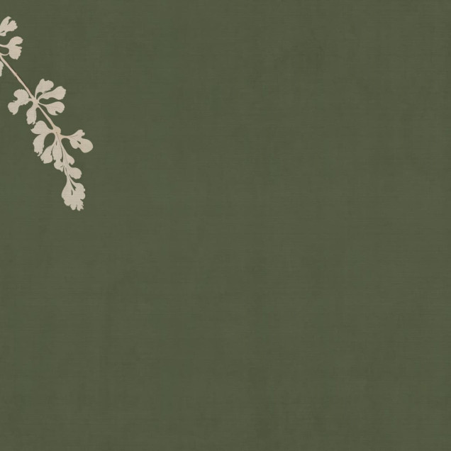Tapet cu elemente florale abstracte și rustice pe un fundal verde, integrat într-un design de interior modern.