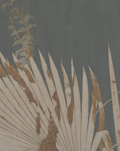 Sabal, Variant 1, Glamora