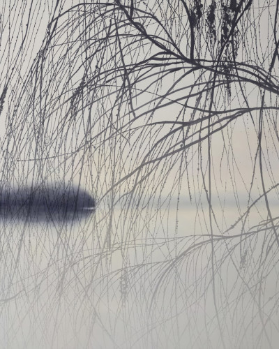 Tapet abstract cu design minimalist, imaginea creeaza iluzia unui peisaj cu un lac si crengi de salcie, adaugand o nota de liniste si armonie.