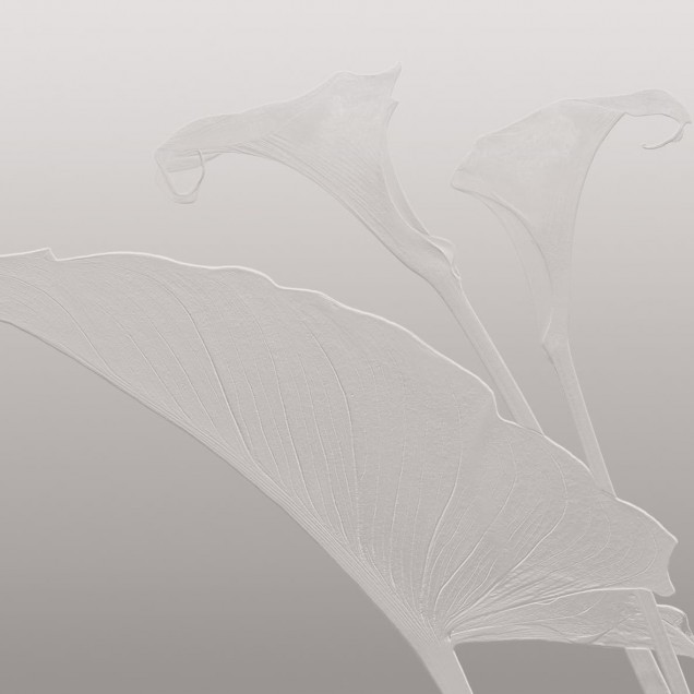 Tapet cu design elegant si modern, cu model de frunze delicate