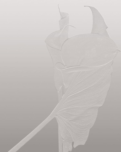 Tapet cu design elegant si modern, cu model de frunze delicate