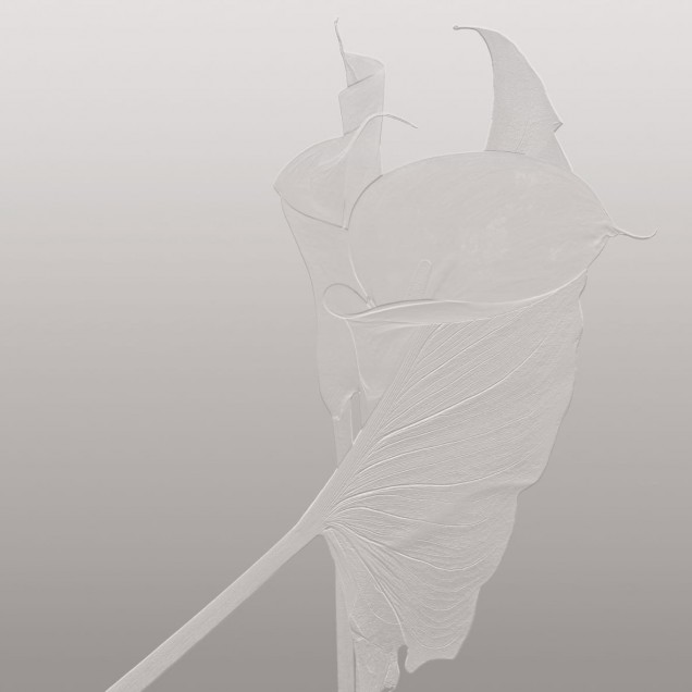 Tapet cu design elegant si modern, cu model de frunze delicate