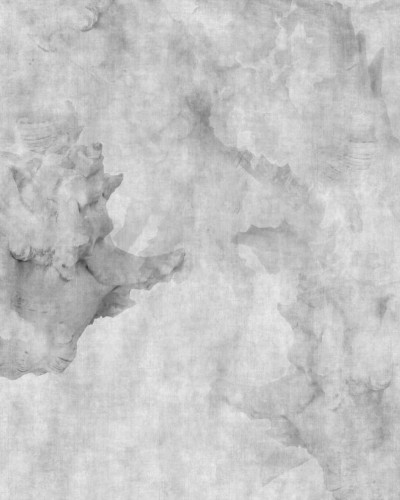Wallpaper abstract cu design minimalist, in tonuri de gri, cu textura de scoici