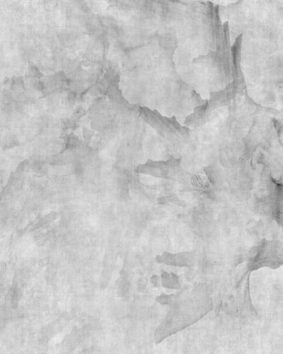 Wallpaper abstract cu design minimalist, in tonuri de gri, cu textura de scoici