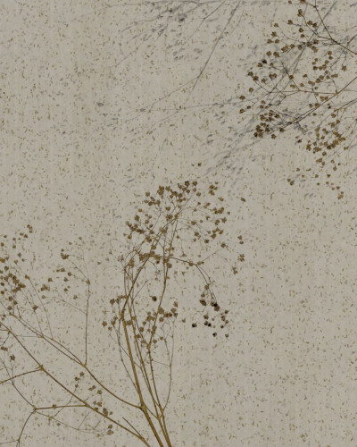 Tapet elegant cu ramuri delicate pe fundal bej