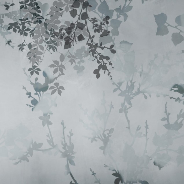 Ampelo, Variant 2 - Wallpaper cu frunze delicate de viță de vie