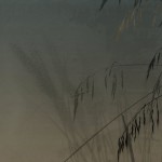 Fototapet Glamora GLM-GLXIII632. Conține culorile: