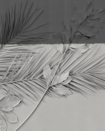 Wallpaper cu frunze tropicale, design modern,  perfect pentru a crea un colț relaxant și inspirat de natură.
