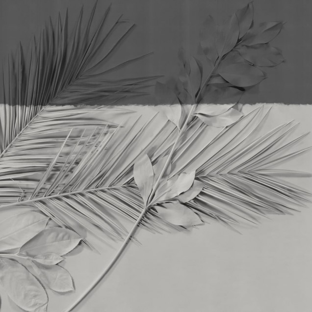 Wallpaper cu frunze tropicale, design modern,  perfect pentru a crea un colț relaxant și inspirat de natură.